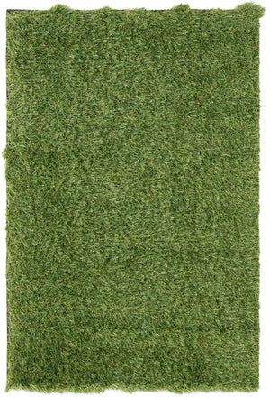 Green 2' x 3' 1 Outdoor Grass Rectangle Area Rug Thick Soft Touch Fluffy & Plush Shaggy Pile Weather Resistant for Patio, Deck, Terrace, Balcony, Porch