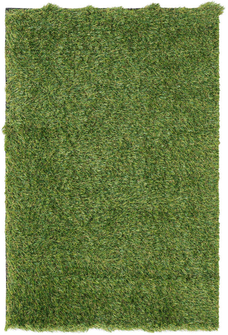 Green 2' x 3' 1 Outdoor Grass Rectangle Area Rug Thick Soft Touch Fluffy & Plush Shaggy Pile Weather Resistant for Patio, Deck, Terrace, Balcony, Porch