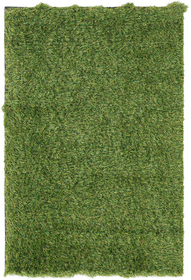 Green 2' x 3' 1 Outdoor Grass Rectangle Area Rug Thick Soft Touch Fluffy & Plush Shaggy Pile Weather Resistant for Patio, Deck, Terrace, Balcony, Porch