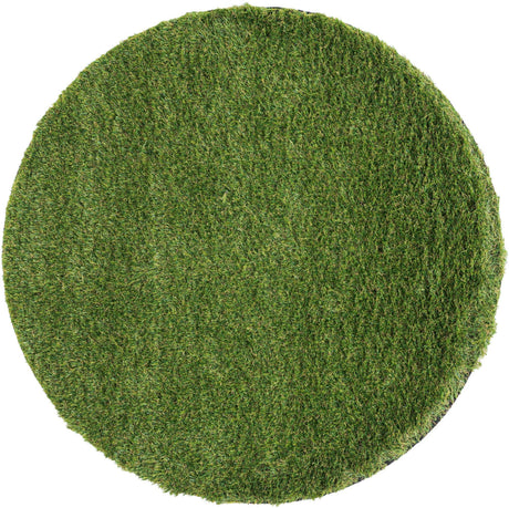 Green 3' 1 x 3' 1 Outdoor Grass Round Area Rug Thick Soft Touch Fluffy & Plush Shaggy Pile Weather Resistant for Patio, Deck, Terrace, Balcony, Porch