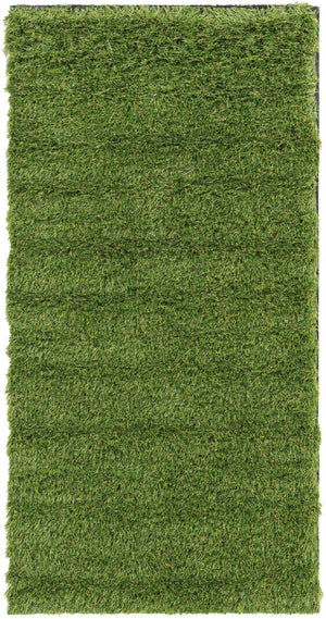 Green 2' x 4' 1 Outdoor Grass Runner Area Rug Thick Soft Touch Fluffy & Plush Shaggy Pile Weather Resistant for Patio, Deck, Terrace, Balcony, Porch