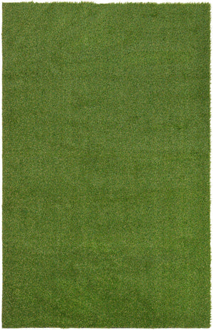 Green 5' 1 x 8' Outdoor Grass Rectangle Area Rug Thick Soft Touch Fluffy & Plush Shaggy Pile Weather Resistant for Patio, Deck, Terrace, Balcony, Porch