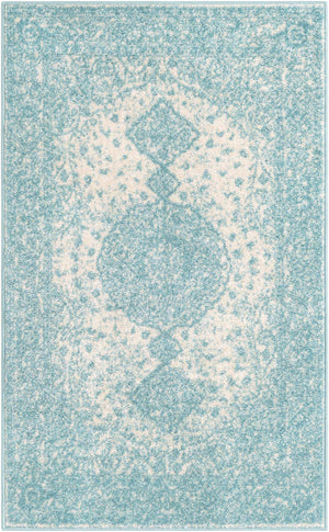 Aqua 3' 1 x 5' 3 Bromley Rectangle Area Rug 100% Polypropylene With Cotton Backing Vintage Distressed Colorful Traditional Carpet for Living Dining Rooms Offices for Sale at Rug Engine