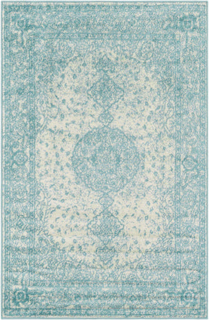 Aqua 4' 1 x 6' 1 Bromley Rectangle Area Rug 100% Polypropylene With Cotton Backing Vintage Distressed Colorful Traditional Carpet for Living Dining Rooms Offices for Sale at Rug Engine