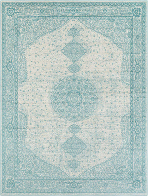 Aqua 7' 10 x 10' Bromley Rectangle Area Rug 100% Polypropylene With Cotton Backing Vintage Distressed Colorful Traditional Carpet for Living Dining Rooms Offices for Sale at Rug Engine