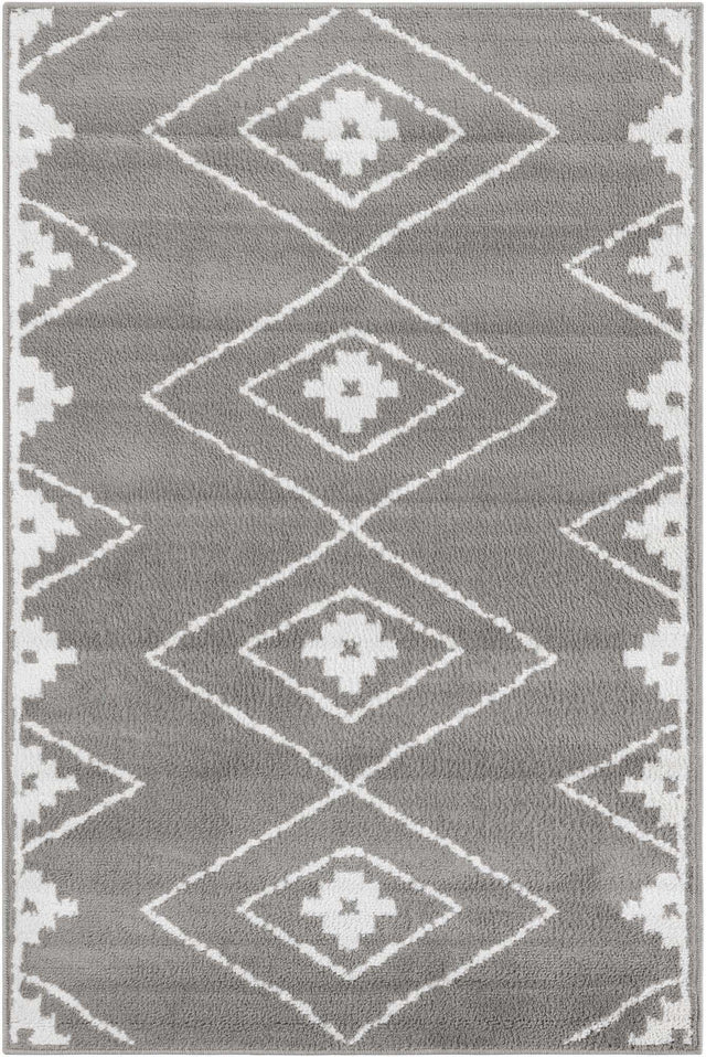 Gray 4' 1 x 6' 1 Norge Rectangle Area Rug 100% Polypropylene Easy Clean Non Shed Stain Resistant Modern Carpet for Home Interior Design for Sale at Rug Engine