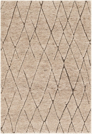 Camel Brown 4' 1 x 6' 1 Atlas Moroccan Wool Rectangle Area Rug New Zealand Wool With Cotton Backing All Natural Indoor Living Dining Room Bedroom Office Carpet for Sale at Rug Engine