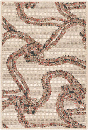 Beige 2' x 3' 1 Outdoor Coastal Rectangle Area Rug Weather Resistant for Patio, Deck, Terrace, Balcony, Porch 100% Polypropylene Coastal Decor Carpet for Sale at Rug Engine