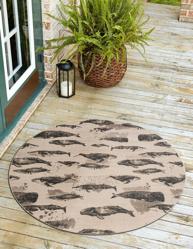 Beige 7' 10 x 7' 10 Outdoor Coastal Round Area Rug Weather Resistant for Patio, Deck, Terrace, Balcony, Porch 100% Polypropylene Coastal Decor Carpet for Sale at Rug Engine