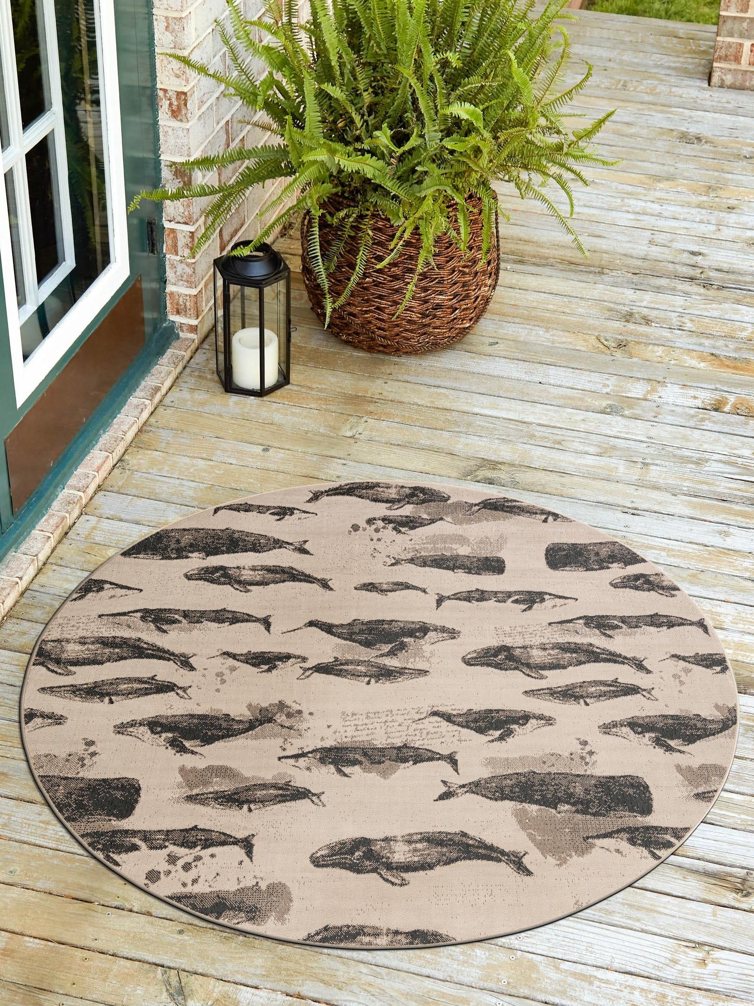 Beige 5' 1 x 5' 1 Outdoor Coastal Round Area Rug Weather Resistant for Patio, Deck, Terrace, Balcony, Porch 100% Polypropylene Coastal Decor Carpet for Sale at Rug Engine
