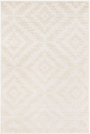 Beige and Ivory 4' 1 x 6' 1 Sabrina Soto Outdoor Rectangle Area Rug Weather Resistant for Patio, Deck, Terrace, Balcony, Porch Durable Carpet for Exterior Home Design for Sale at Rug Engine