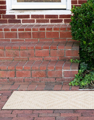 Beige and Ivory 2' x 8' Sabrina Soto Outdoor Runner Area Rug Weather Resistant for Patio, Deck, Terrace, Balcony, Porch Durable Carpet for Exterior Home Design for Sale at Rug Engine