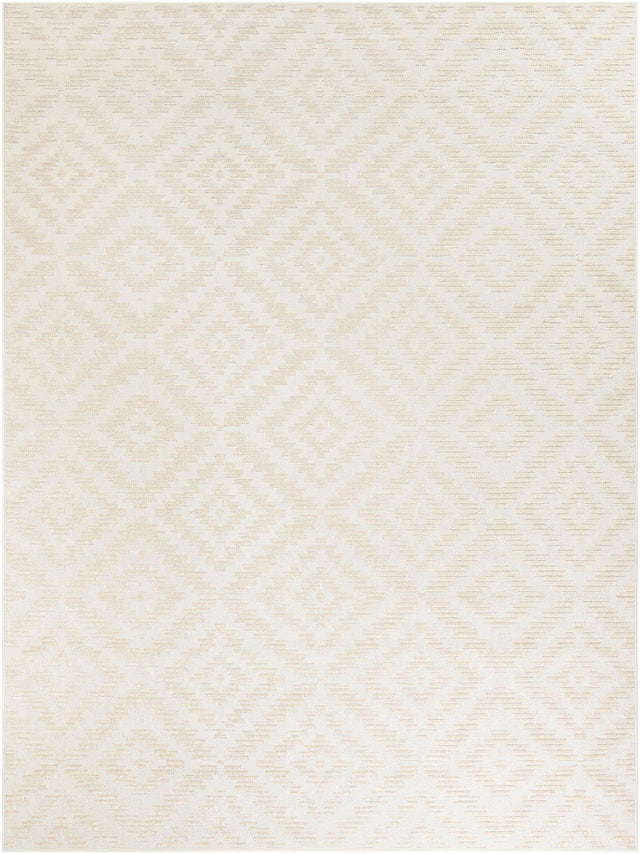 Beige and Ivory 9' x 12' Sabrina Soto Outdoor Rectangle Area Rug Weather Resistant for Patio, Deck, Terrace, Balcony, Porch Durable Carpet for Exterior Home Design for Sale at Rug Engine