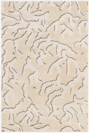Beige and Ivory 4' 1 x 6' 1 Sabrina Soto Outdoor Rectangle Area Rug Weather Resistant for Patio, Deck, Terrace, Balcony, Porch Durable Carpet for Exterior Home Design for Sale at Rug Engine