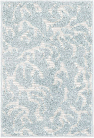 Light Blue 2' x 3' 1 Sabrina Soto Outdoor Rectangle Area Rug Weather Resistant for Patio, Deck, Terrace, Balcony, Porch Durable Carpet for Exterior Home Design for Sale at Rug Engine