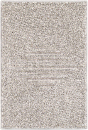 Gray 2' x 3' 1 Sabrina Soto Outdoor Rectangle Area Rug Weather Resistant for Patio, Deck, Terrace, Balcony, Porch Durable Carpet for Exterior Home Design for Sale at Rug Engine