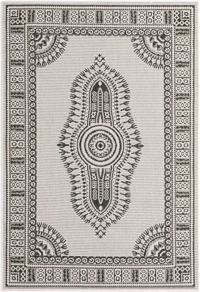 White and Black 4' 1 x 6' 1 Outdoor Traditional Rectangle Area Rug Weather Resistant for Patio, Deck, Terrace, Balcony, Porch Classical Design Outside Carpet for Sale at Rug Engine