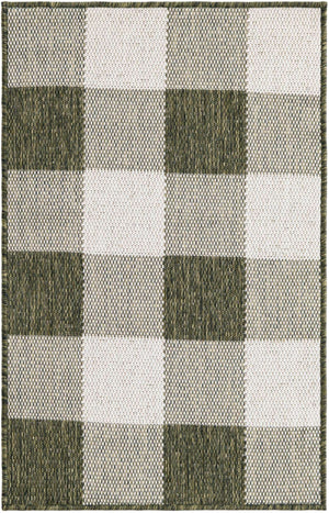 Green 2' x 3' 1 Outdoor Checkered Rectangle Area Rug Weather Resistant for Patio, Deck, Terrace, Balcony, Porch 100% Polypropylene Geometric Carpet for Sale at Rug Engine