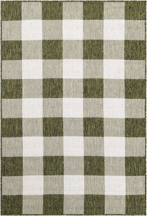 Green 4' 1 x 6' 1 Outdoor Checkered Rectangle Area Rug Weather Resistant for Patio, Deck, Terrace, Balcony, Porch 100% Polypropylene Geometric Carpet for Sale at Rug Engine