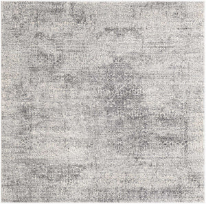 Gray 5' 3 x 5' 3 Finsbury Square Area Rug 60% Polypropylene & 40% Polyester Contemporary Carpet for Living Rooms, Dining, Offices for Sale at Rug Engine