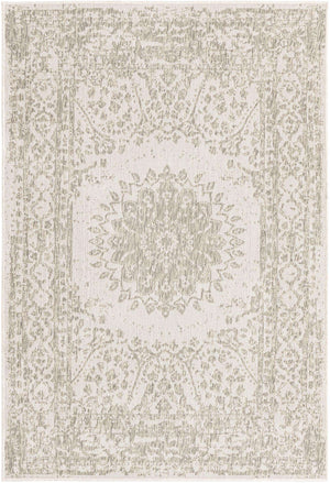 Gray 4' 1 x 6' 1 Outdoor Traditional Rectangle Area Rug Weather Resistant for Patio, Deck, Terrace, Balcony, Porch Classical Design Outside Carpet for Sale at Rug Engine