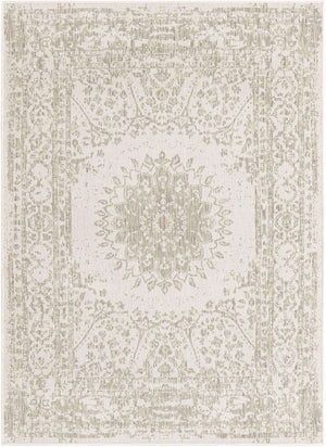 Gray 5' 3 x 7' 1 Outdoor Traditional Rectangle Area Rug Weather Resistant for Patio, Deck, Terrace, Balcony, Porch Classical Design Outside Carpet for Sale at Rug Engine