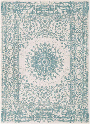 Aqua 5' 3 x 7' 1 Outdoor Traditional Rectangle Area Rug Weather Resistant for Patio, Deck, Terrace, Balcony, Porch Classical Design Outside Carpet for Sale at Rug Engine
