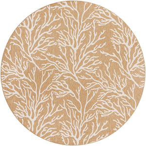 Taupe 10' x 10' Outdoor Coastal Round Area Rug Weather Resistant for Patio, Deck, Terrace, Balcony, Porch 100% Polypropylene Coastal Decor Carpet for Sale at Rug Engine
