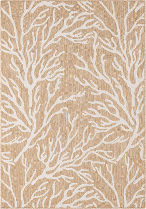 Taupe 5' 3 x 8' Outdoor Coastal Rectangle Area Rug Weather Resistant for Patio, Deck, Terrace, Balcony, Porch 100% Polypropylene Coastal Decor Carpet for Sale at Rug Engine
