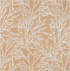 Taupe 7' 10 x 7' 10 Outdoor Coastal Square Area Rug Weather Resistant for Patio, Deck, Terrace, Balcony, Porch 100% Polypropylene Coastal Decor Carpet for Sale at Rug Engine