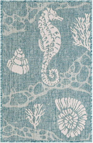 Aqua 2' x 3' 1 Outdoor Coastal Rectangle Area Rug Weather Resistant for Patio, Deck, Terrace, Balcony, Porch 100% Polypropylene Coastal Decor Carpet for Sale at Rug Engine