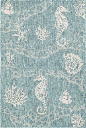 Aqua 4' 1 x 6' 1 Outdoor Coastal Rectangle Area Rug Weather Resistant for Patio, Deck, Terrace, Balcony, Porch 100% Polypropylene Coastal Decor Carpet for Sale at Rug Engine