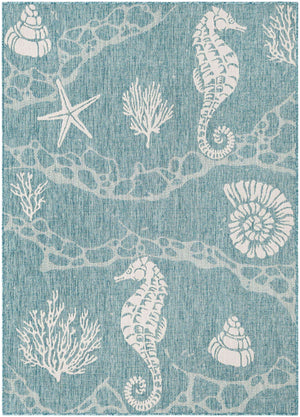 Aqua 5' 3 x 7' 1 Outdoor Coastal Rectangle Area Rug Weather Resistant for Patio, Deck, Terrace, Balcony, Porch 100% Polypropylene Coastal Decor Carpet for Sale at Rug Engine