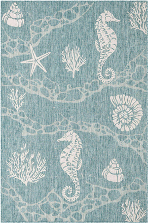 Aqua 6' 1 x 9' Outdoor Coastal Rectangle Area Rug Weather Resistant for Patio, Deck, Terrace, Balcony, Porch 100% Polypropylene Coastal Decor Carpet for Sale at Rug Engine
