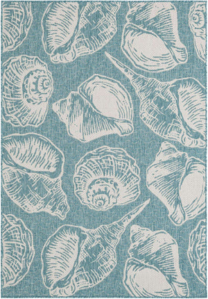 Aqua 5' 3 x 8' Outdoor Coastal Rectangle Area Rug Weather Resistant for Patio, Deck, Terrace, Balcony, Porch 100% Polypropylene Coastal Decor Carpet for Sale at Rug Engine