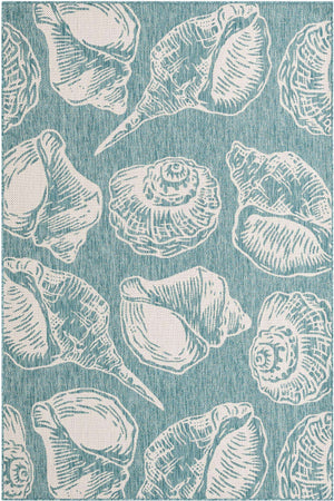 Aqua 6' 1 x 9' Outdoor Coastal Rectangle Area Rug Weather Resistant for Patio, Deck, Terrace, Balcony, Porch 100% Polypropylene Coastal Decor Carpet for Sale at Rug Engine