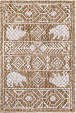 Taupe 2' x 3' 1 Outdoor Southwestern Rectangle Area Rug Weather Resistant for Patio, Deck, Terrace, Balcony, Porch 100% Polypropylene Rustic Waterproof Carpet for Sale at Rug Engine
