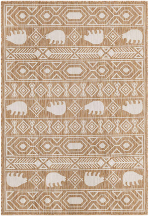 Taupe 4' 1 x 6' 1 Outdoor Southwestern Rectangle Area Rug Weather Resistant for Patio, Deck, Terrace, Balcony, Porch 100% Polypropylene Rustic Waterproof Carpet for Sale at Rug Engine