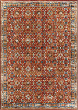 Antique Red 10' x 14' 1 Outdoor Traditional Rectangle Area Rug Weather Resistant for Patio, Deck, Terrace, Balcony, Porch Classical Design Outside Carpet for Sale at Rug Engine