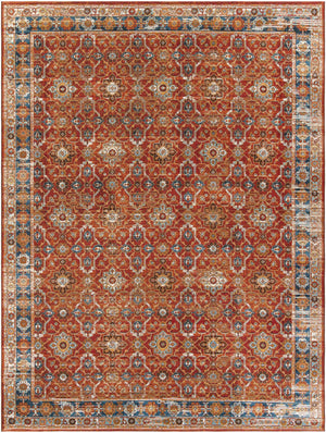 Antique Red 9' x 12' Outdoor Traditional Rectangle Rug