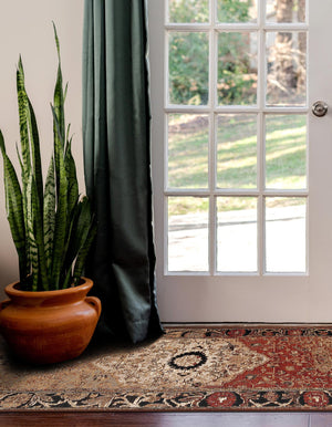 Multicolor 3' x 10' Outdoor Traditional Runner Rug