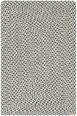Gray 2' x 3' 1 Tweed Braided Jute Rectangle Rug