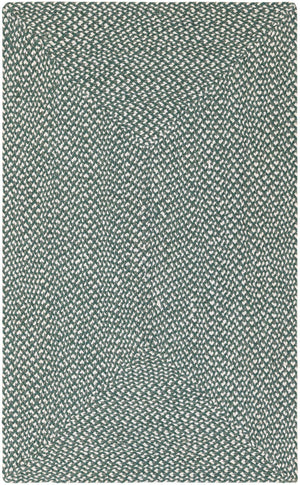 Green 3' 1 x 5' 1 Tweed Braided Jute Rectangle Area Rug 100% All Natural Jute Hand Braided in India Carpet for Unique Luxury Home Interiors for Sale at Rug Engine