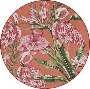 Coral 5' 1 x 5' 1 Outdoor Botanical Round Area Rug Weather Resistant for Patio, Deck, Terrace, Balcony, Porch Polypropylene Garden Floral Tropical Carpet for Sale at Rug Engine