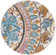 Multicolor 5' 1 x 5' 1 Outdoor Traditional Round Rug