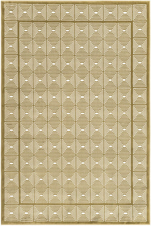 Olive Green 4' 1 x 6' 1 Aakaar Rectangle Area Rug 85% Polypropylene & 15% Chenille Living Room Bedroom Carpet for Sale at Rug Engine